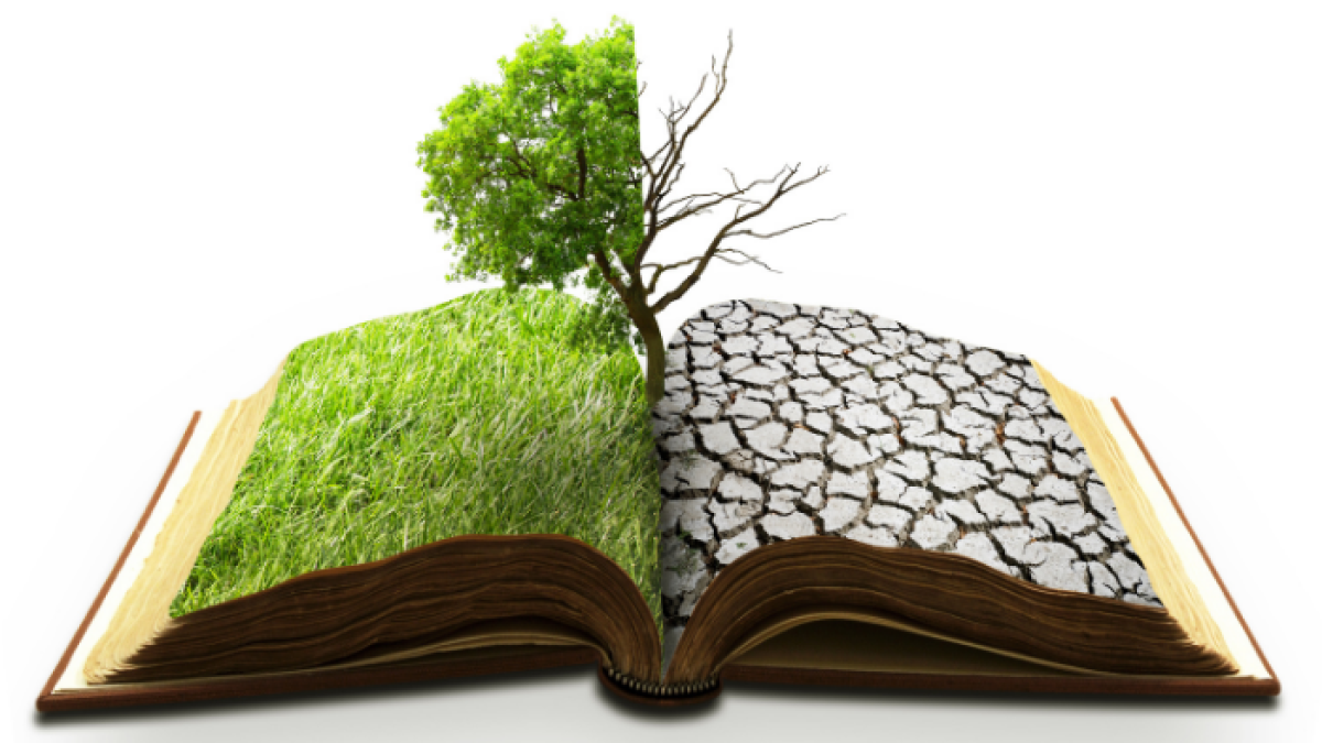 Los desastres relacionados con el clima se han multiplicado por 2,4 en América Latina desde 1970 señala la geógrafa Adriana Calderón.