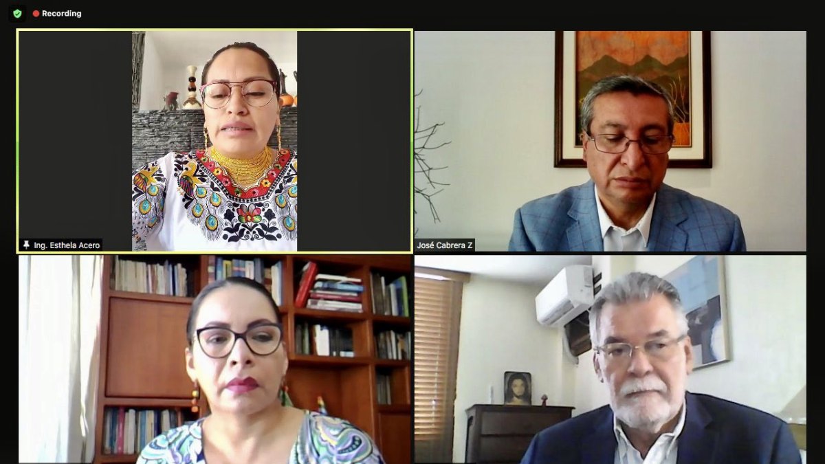 El pleno del Consejo Nacional Electoral sesionó hoy de manera virtual.