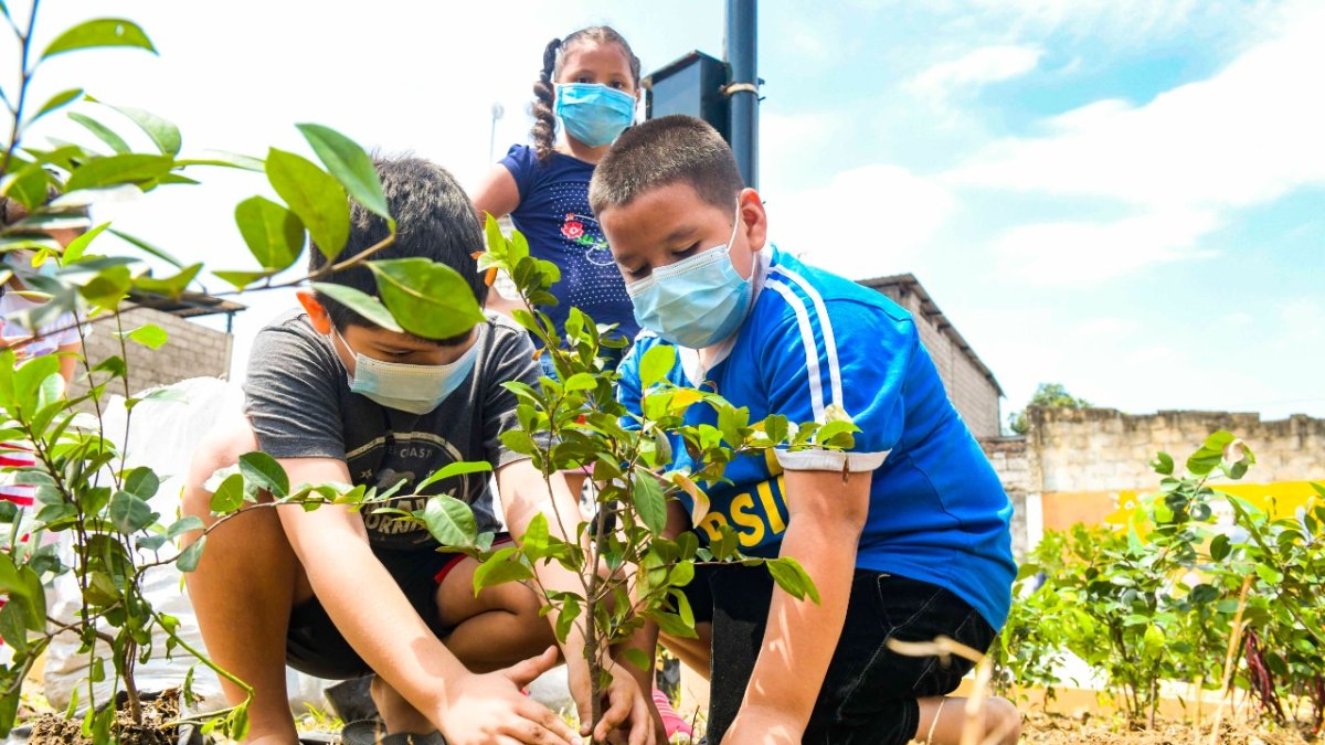 Personal de la Dirección de Áreas Verdes y moradores de la Coop. Luz del Guayas sembraron 450 plantas ornamentales y 2 guayacanes rosados.