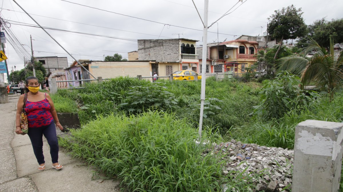 Los moradores de la Martha de Roldós denuncian que los delincuentes se esconden entre la maleza o los espacios públicos con poca iluminación para robar a los residentes. 