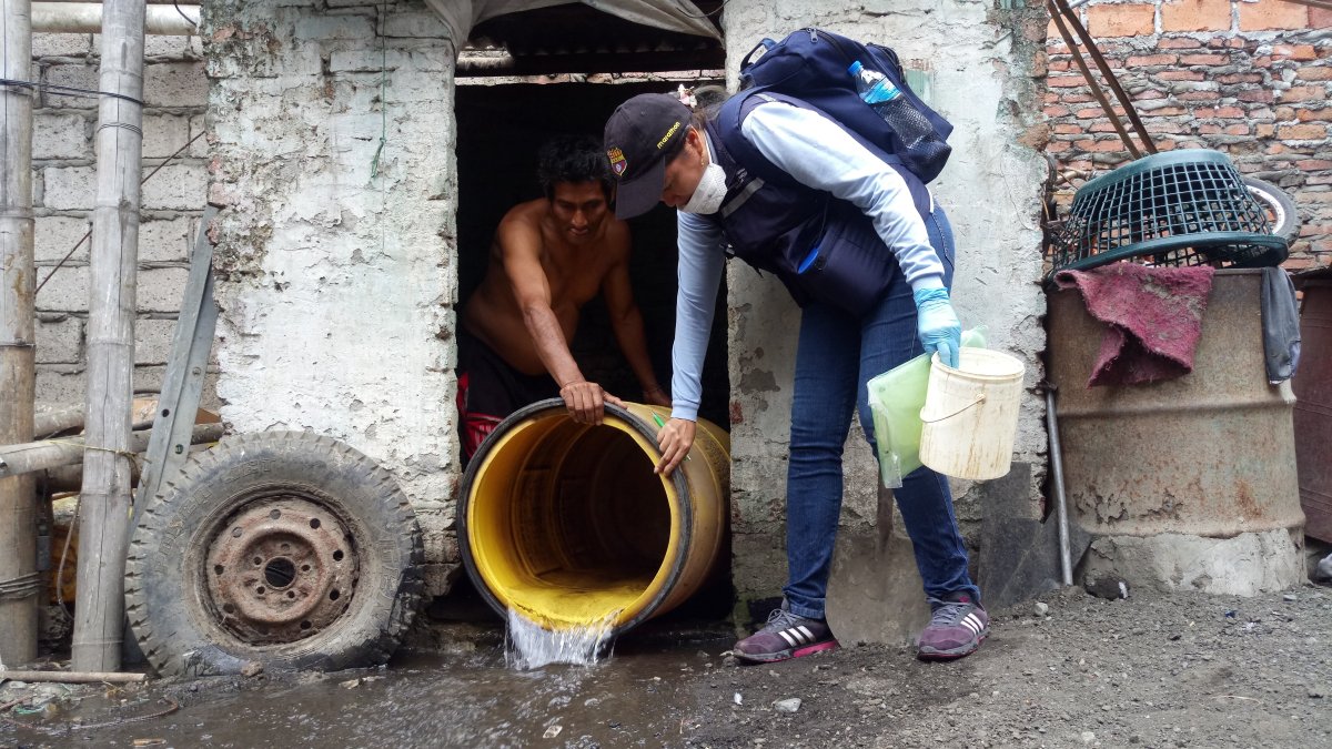 La enfermedad causada por la picadura del mosquito Aedes aegypti registra un incremento de casos.