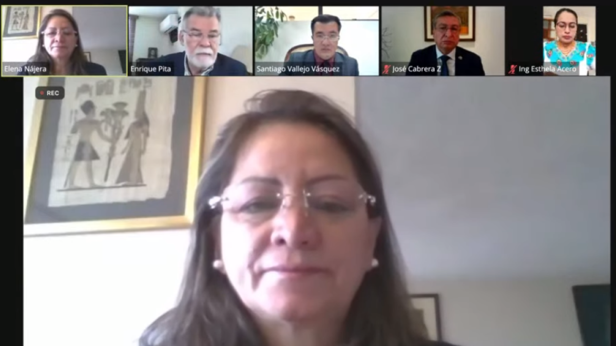 Elena Najera llegó al CNE con es auspicio de Concertación. La consejera ya ha actuado en otras pcasiones en el pleno del organismo electoral.