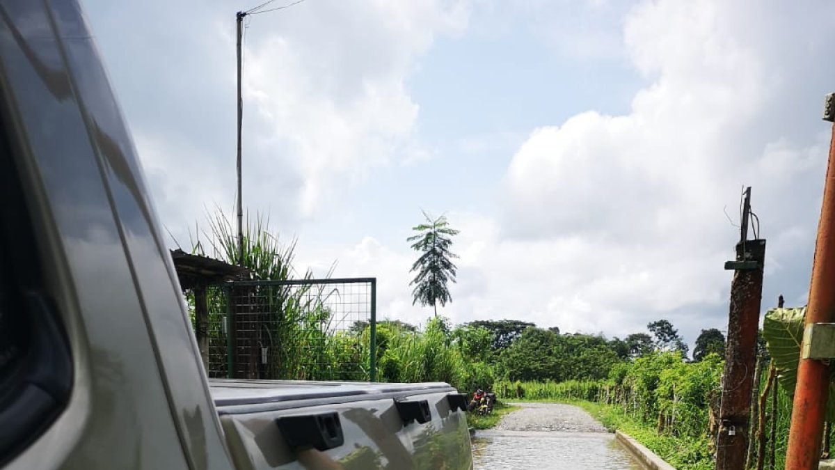 En el ingreso de las bananeras se instalan rodaluvios, que sirven para desinfectar los vehículos que ingresan o salen de las fincas. 