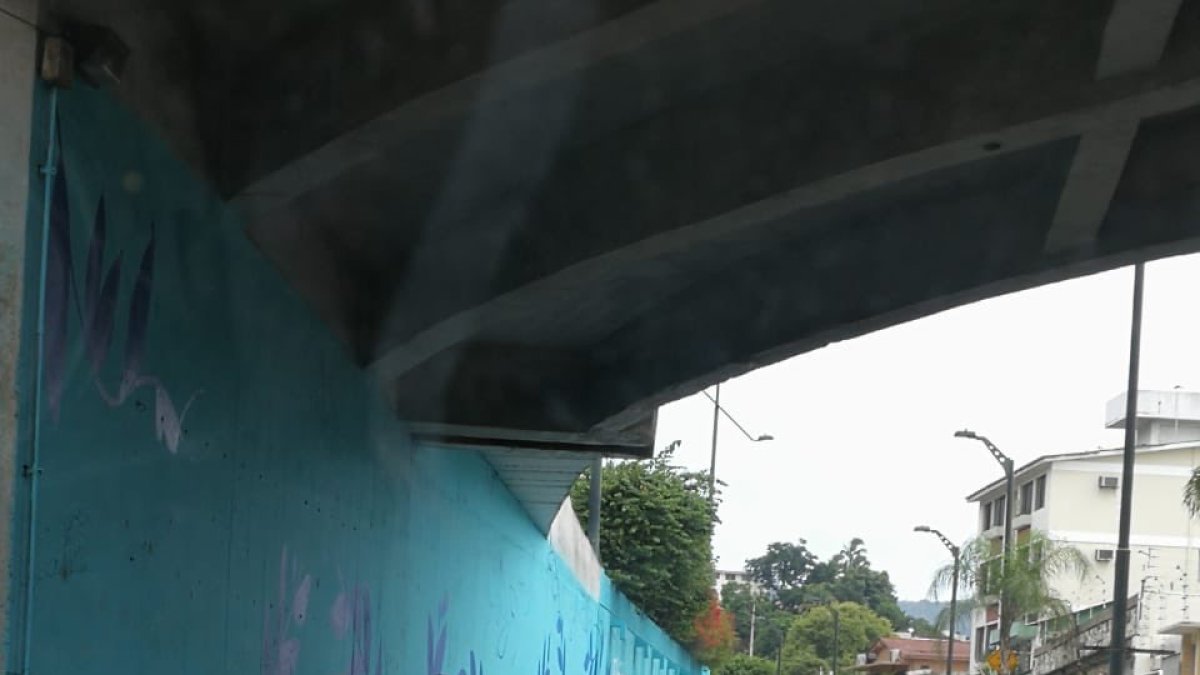 Hecho. El suceso se registró en Los Ceibos.