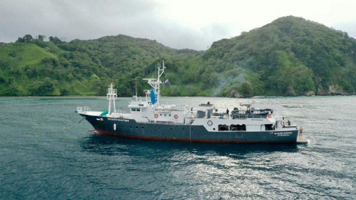 El buque M/Y Sharkwater, zarpó la tarde de ayer desde Quepos, Costa Rica y volverá luego de la expedición al mismo punto.