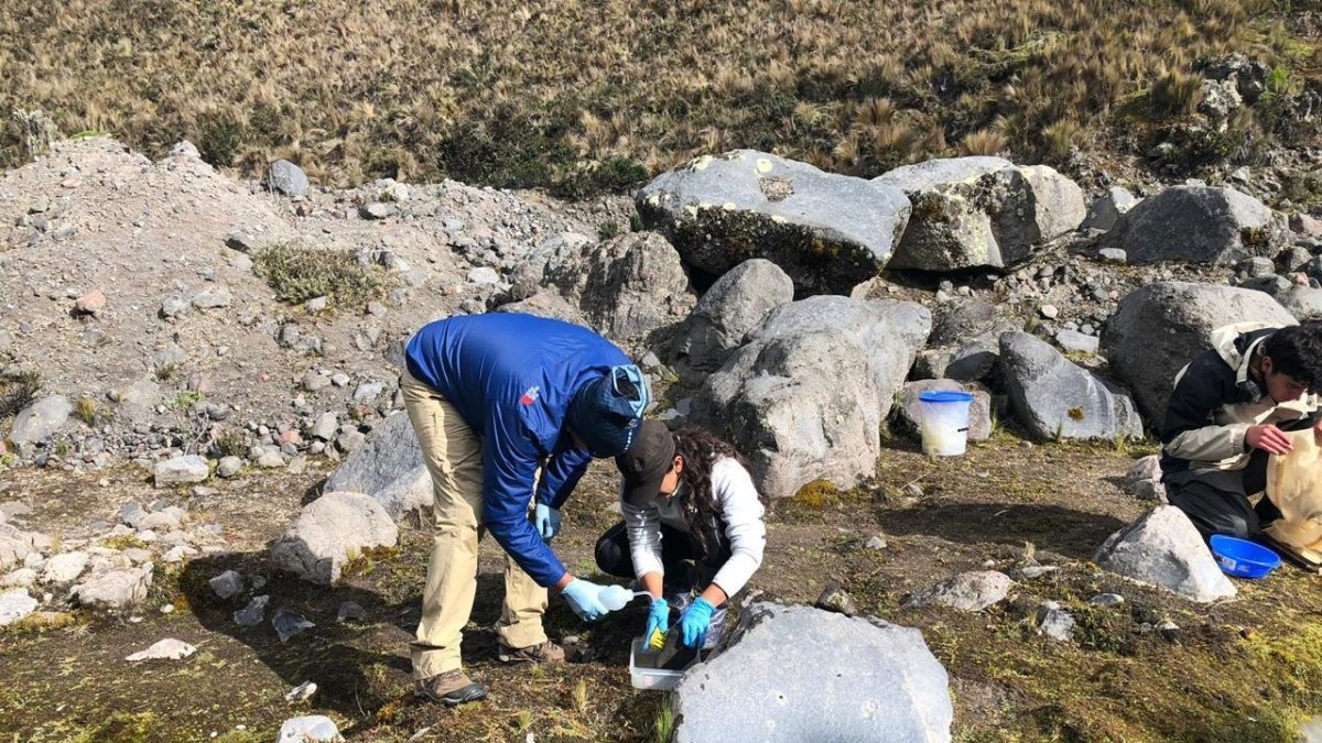Fotografía cedida por la Universidad Internacional SEK y fechada el 27 enero de 2018 del equipo investigador formado por Hernán Moina y Susana Chamorro en el glaciar del Antisana.