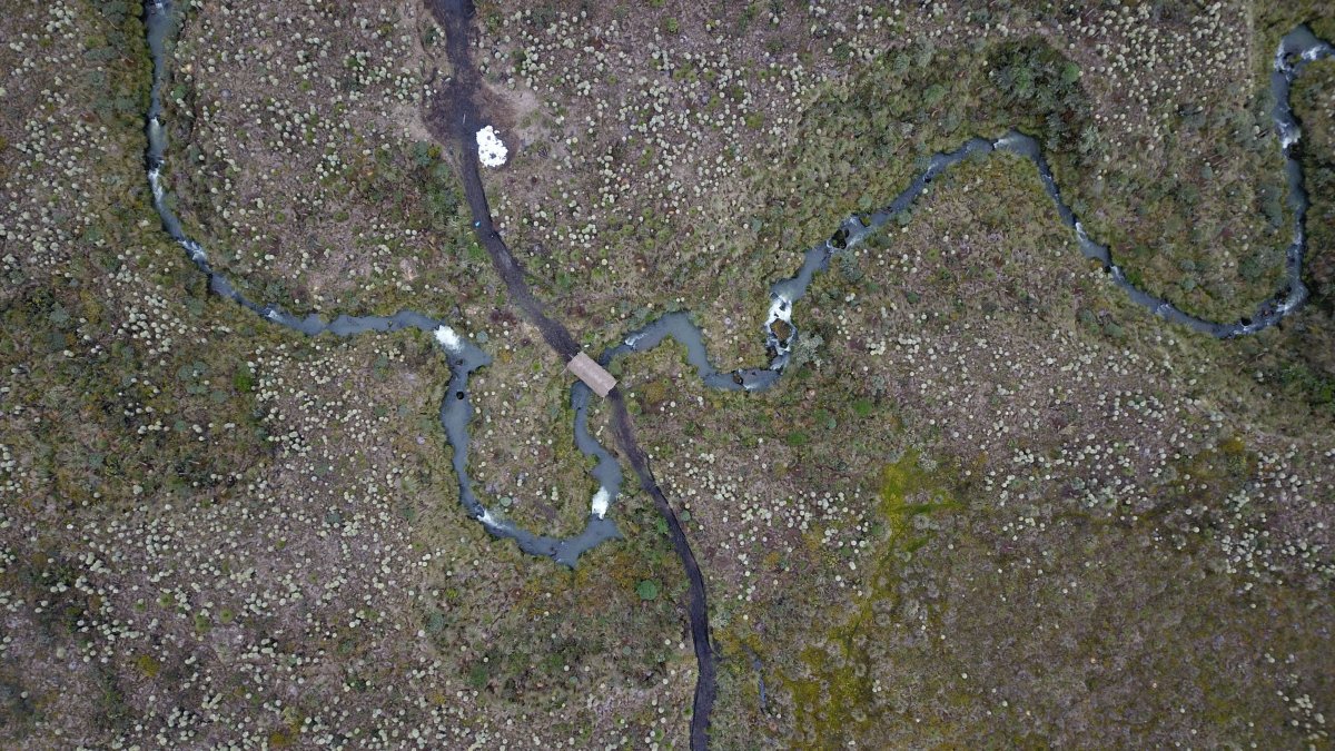Fotografía cedida por el Ministerio de Ambiente de Ecuador fechada el 13 de abril de la zona del norte del país declarada Área de Protección Hídrica, en la provincia de Carchi. 