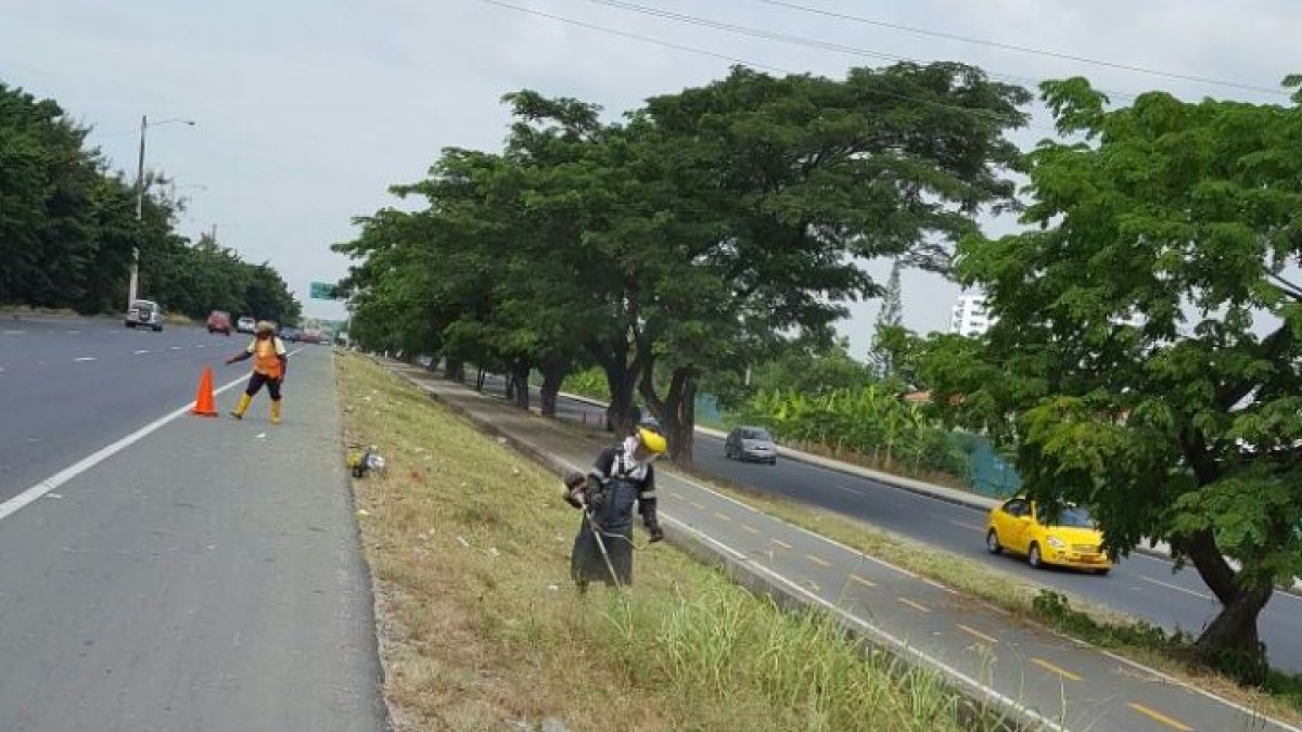 El mantenimiento y limpieza de la vía a la costa debe ser permanente.