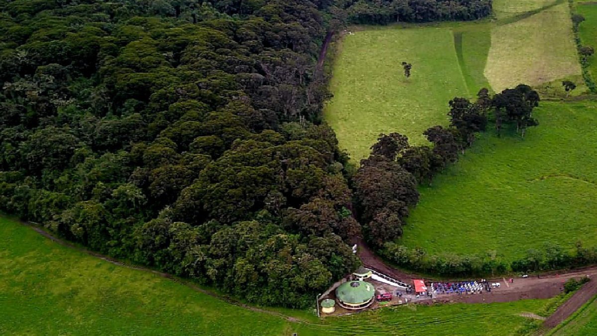 Una vista aérea del bosque