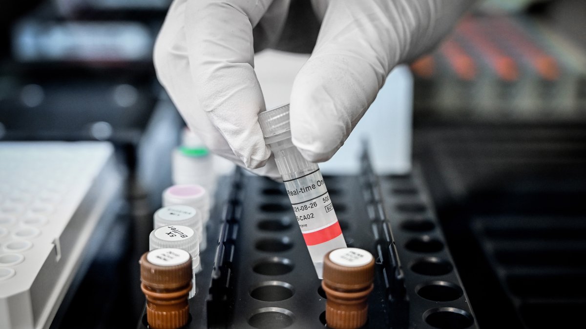 En una segunda parte del estudio, el equipo de investigación también analizó cerca de 2.000 mutaciones que han surgido en el SARS-CoV-2 desde el inicio de la pandemia.