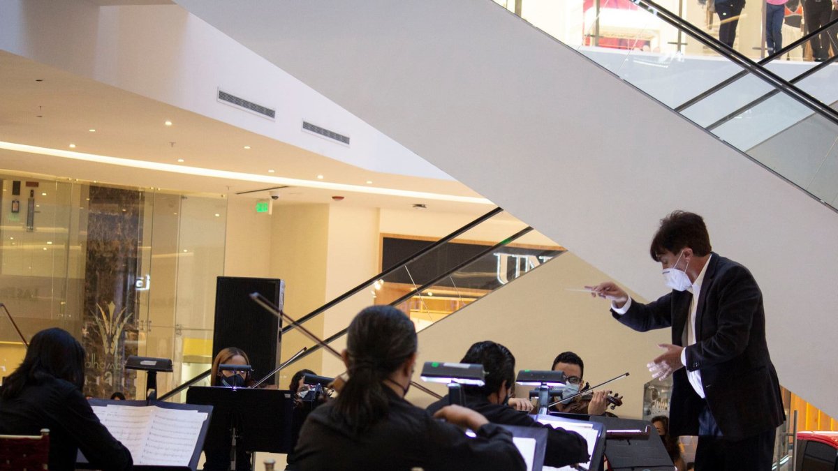La Orquesta Sinfónica de Guayaquil tendrá una cita virtual con alumnos de varias unidades educativas.