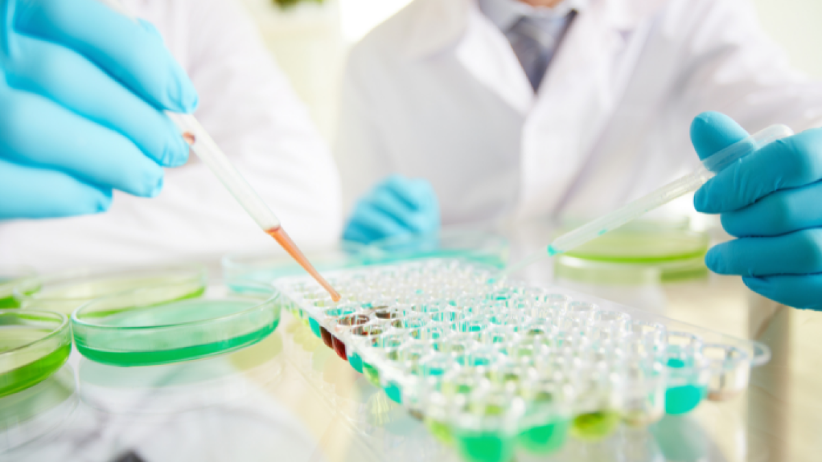 El freno a la producción de proteínas reduciría la réplica viral del SARS-CoV-2 en células infectadas.