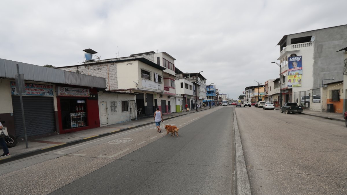 Escenario. En la calle 29, por ejemplo, predominan las zonas grises que verdes.