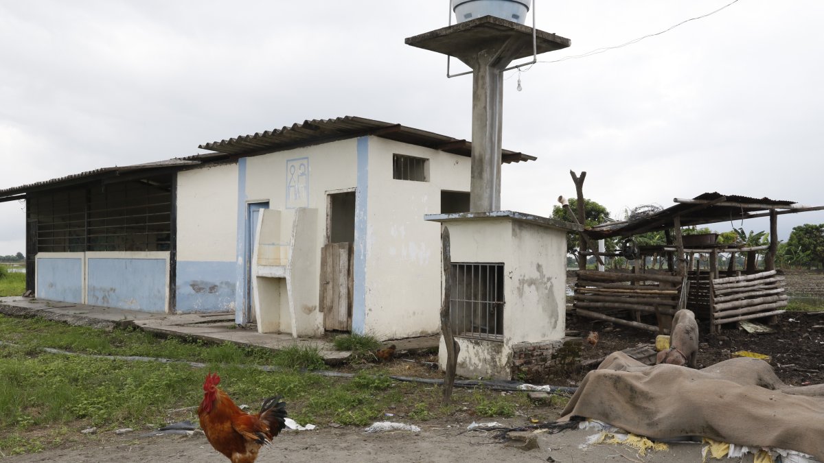 Escuela rural 5 de Junio, del recinto Palo Alto, del cantón Daule. El gobierno saliente ofreció reabrir al menos 2.000 planteles comunitarios de los 7.000 que se estima cerró el régimen anterior.