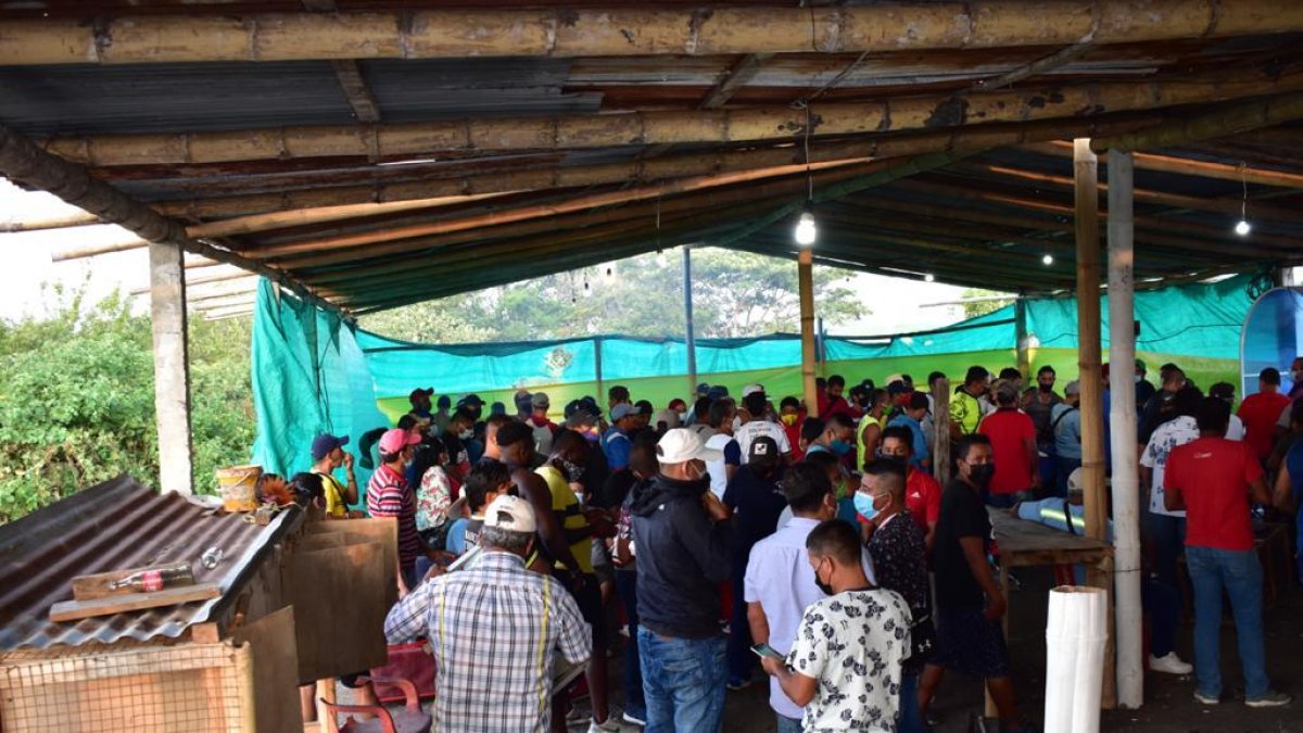 La policía intervino una gallera clandestina en General Villamil Playas.