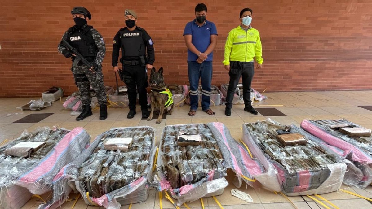 Los más de 700 kilos de clorhidrato de cocaína incautados.