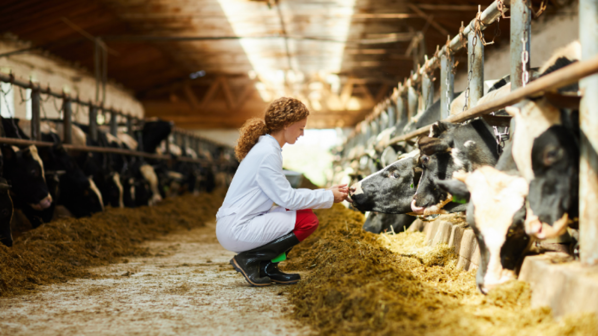 El país suramericano es el quinto productor y el cuarto exportador mundial de carne vacuna.