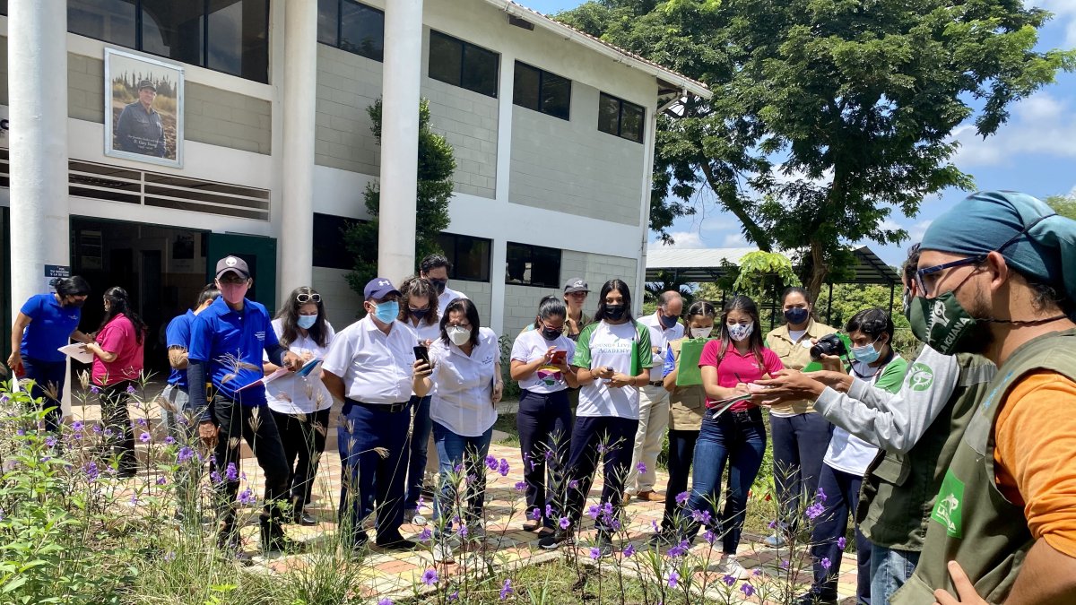 En la Academia Young Living se han plantado especies nativas.