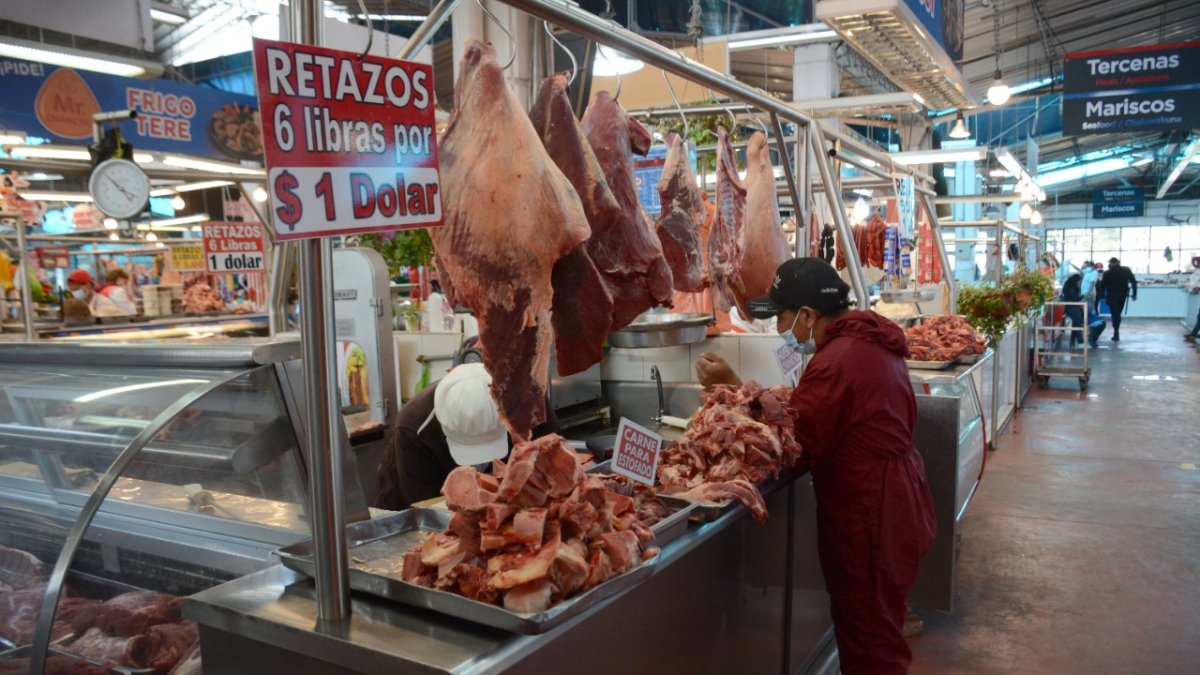 Cambios. Los comerciantes se alistan para recibir un sello de calidad y mejorar el tratamiento de la carne.