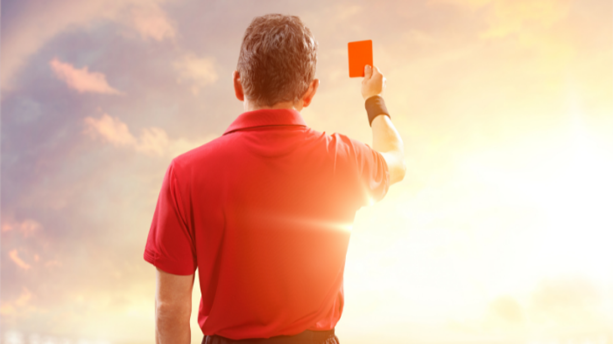 La FEF en colaboración con las otras partes integrantes del proyecto, diseñará un plan estratégico para el desarrollo sostenible del arbitraje.