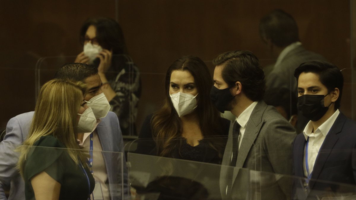 La Asamblea Nacional deberá analizar el proyecto de ley.