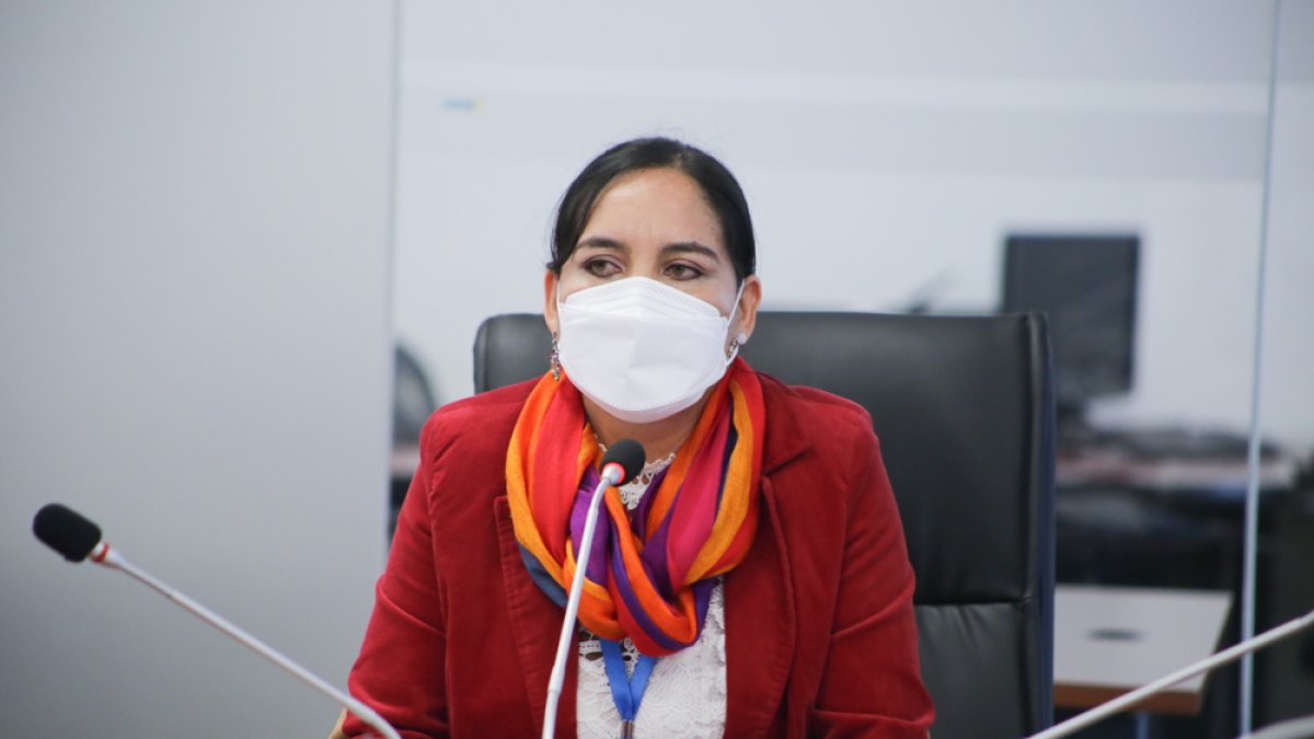 La legisladora fue elegida presidenta de la Comisión de Régimen Económico.