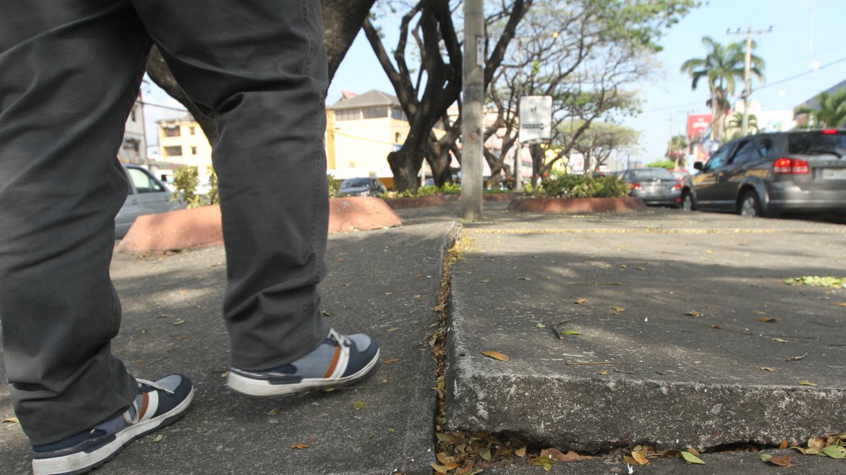 Ubicación. Así luce el parterre central de la Rodolfo Baquerizo, cerca de la calle Benjamín Carrión.