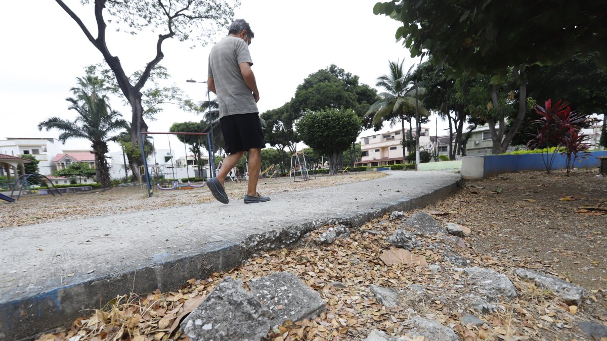 Parque. El cemento de las camineras se perdió, está lleno de piedritas.