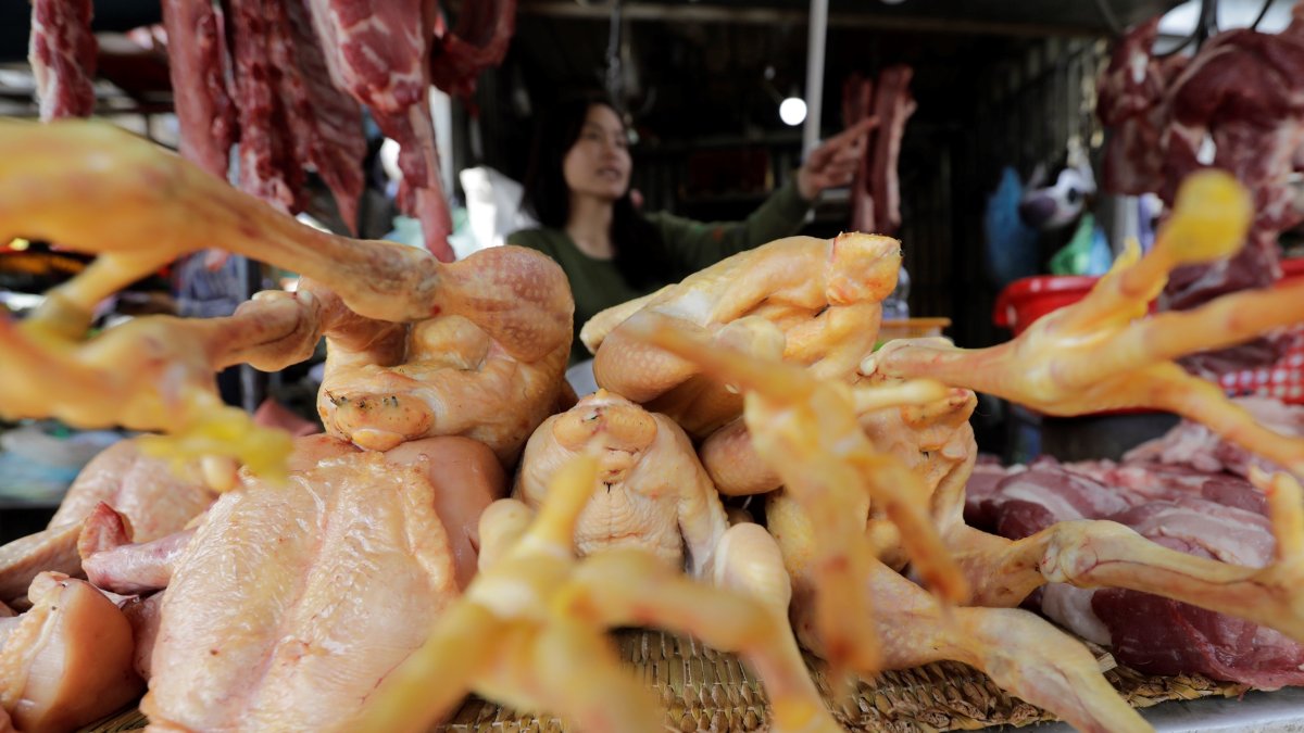 Las autoridades sanitarias chinas anunciaron hoy la detección del primer caso mundial de gripe aviar H10N3 en humanos.