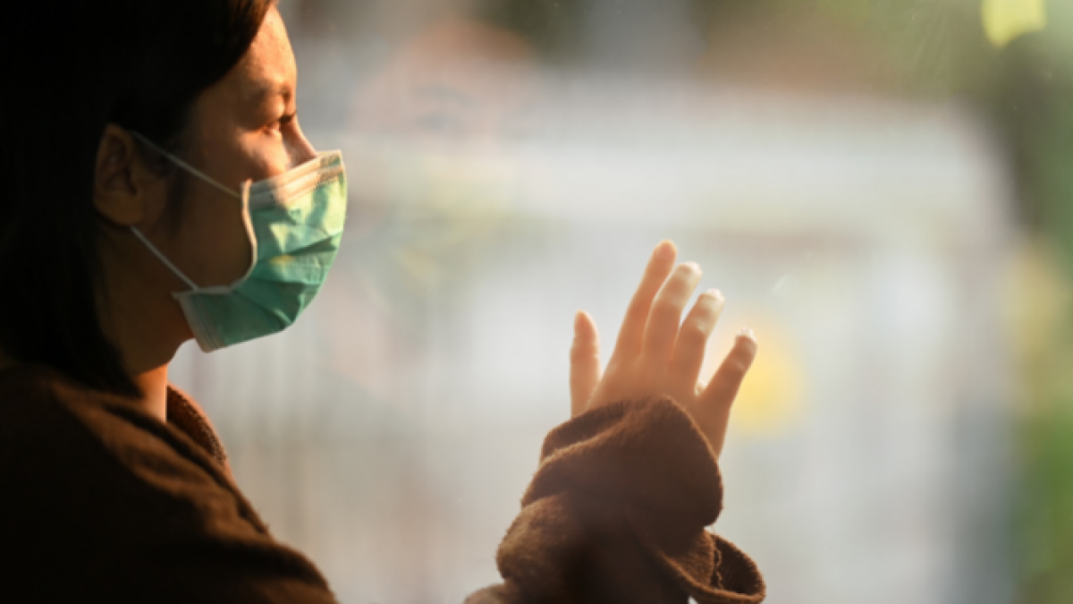 Se culpa, entre otros, al