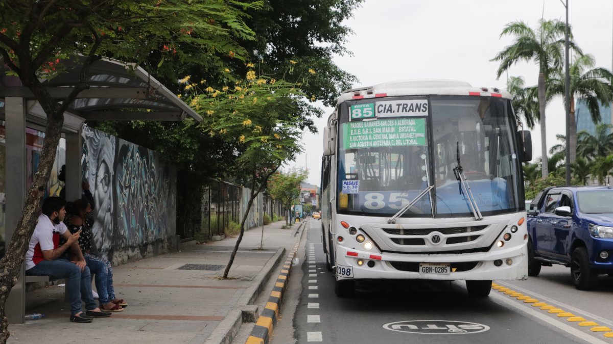 Transportación. Los buses empezaron a rodar de nuevo desde el jueves 3 de junio.