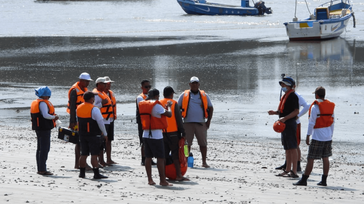 Los guardaparques de las áreas marino costeras recibieron nuevos onocimientos en fauna.