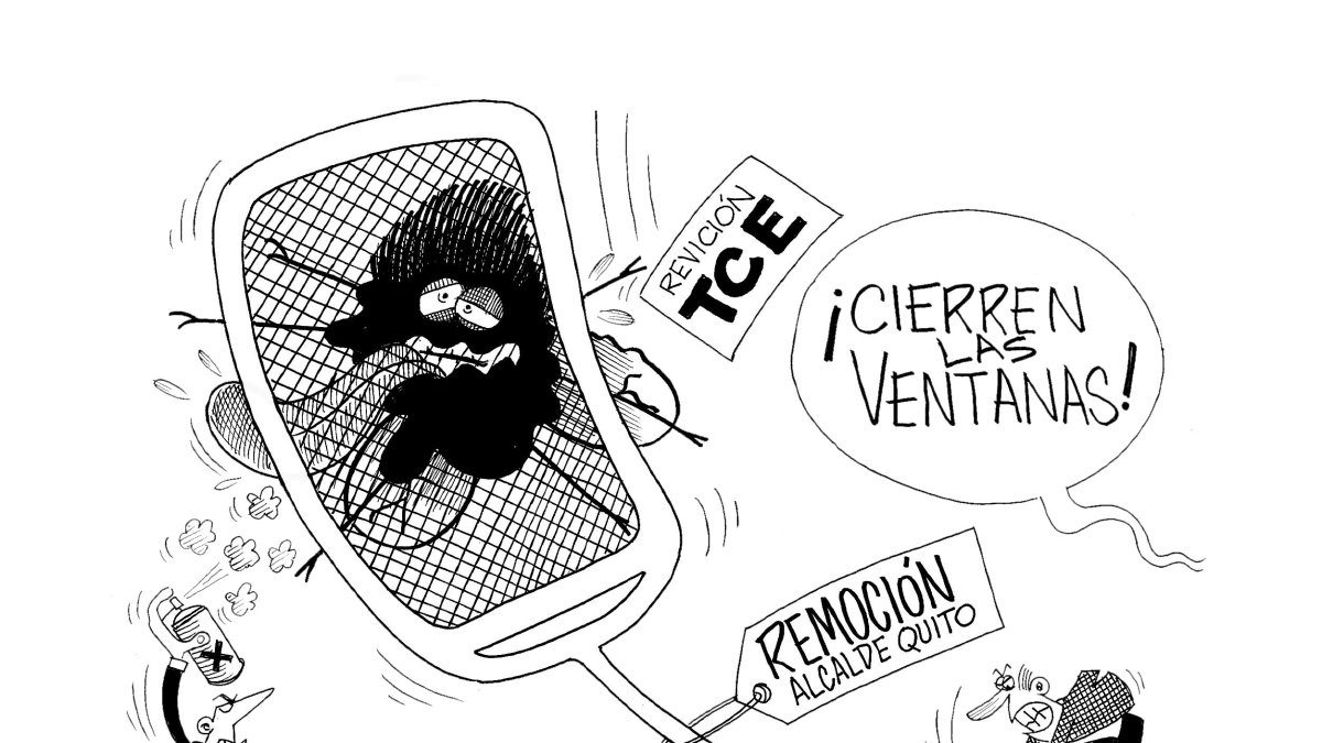 A limpiar la casa por dentro.