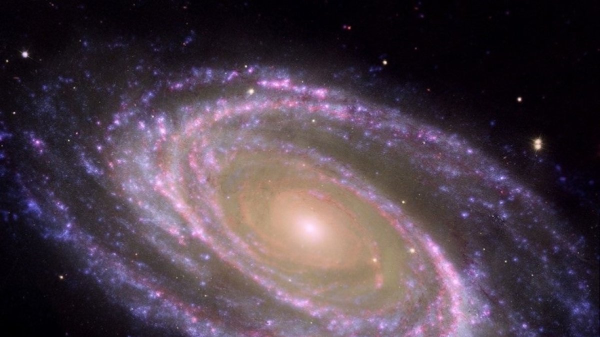 Ejemplo de galaxia espiral cercana M81, donde se identifica fácilmente el bulbo, la parte central más rojiza, y el disco, plagado de zonas donde se forman estrellas actualmente y aparecen como regiones azules formando brazos espirales.