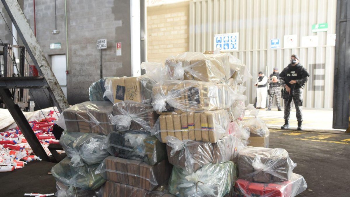 Una voluminosa cantidad de droga antes de la incineración en un local apropiado para esta actividad.
