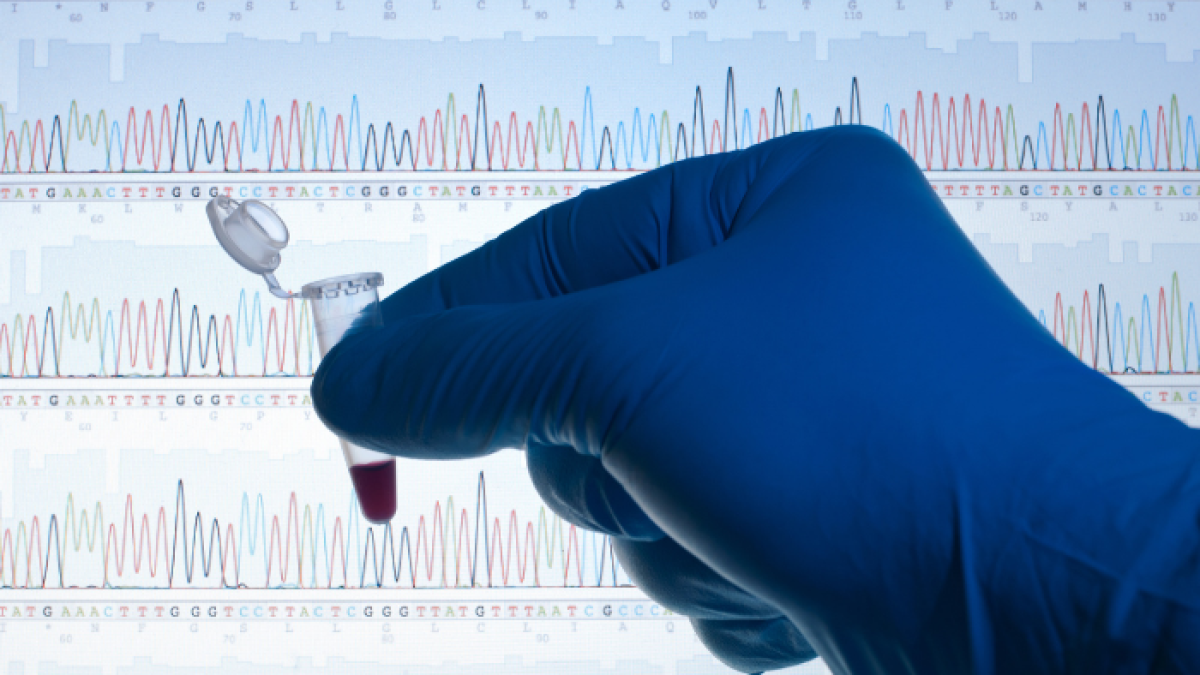La idea es identificar rápidamente y a bajo costo especies animales para determinar si hacen parte de la lista de la Convención sobre el Comercio Internacional de Especies Amenazadas de Fauna y Flora Silvestres.