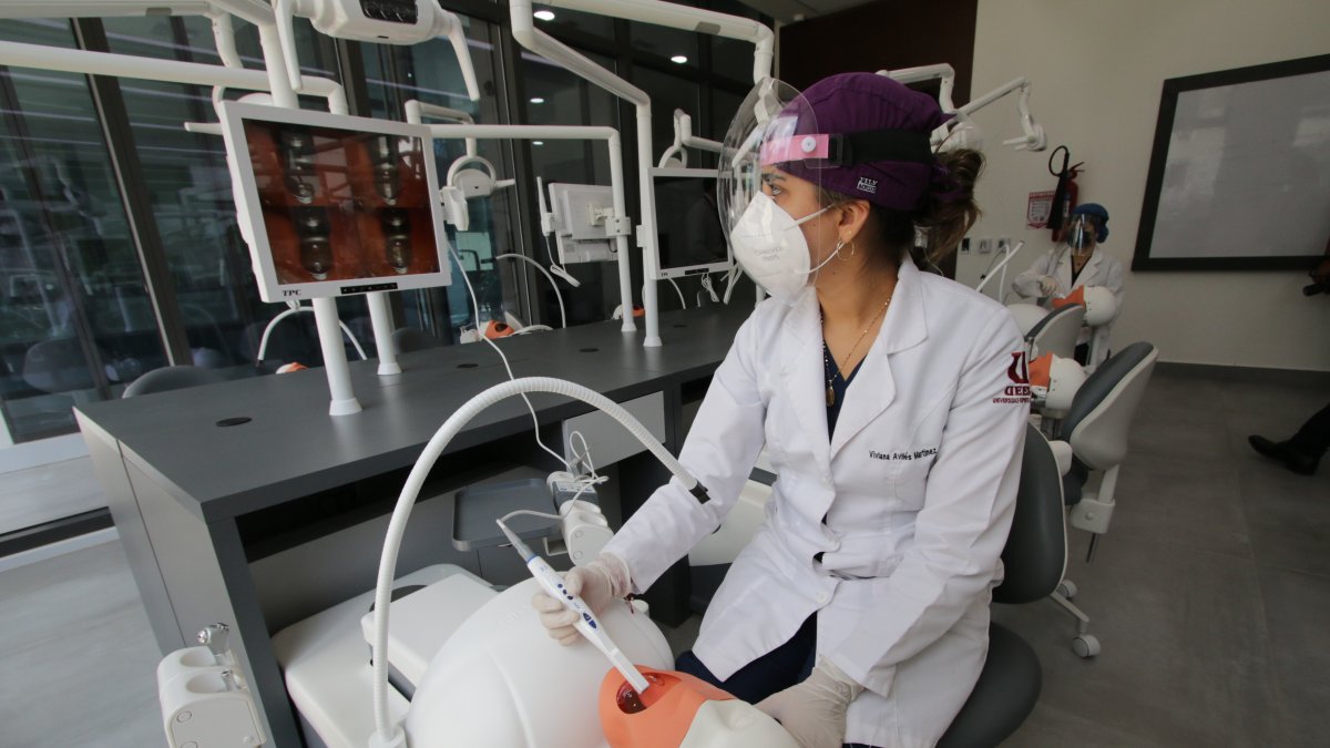 Los estudiantes de Odontología de la UEES asisten a los laboratorios para realizar sus clases prácticas.