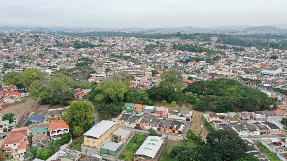 Naturaleza. Una visión global del bosque seco tropical de Samanes 1.