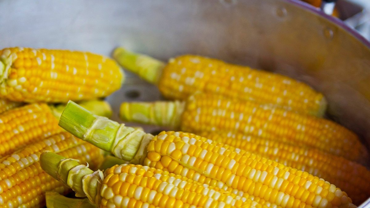 El precio del maíz ha subido ante la mayor demanda de países como Estados Unidos y China.