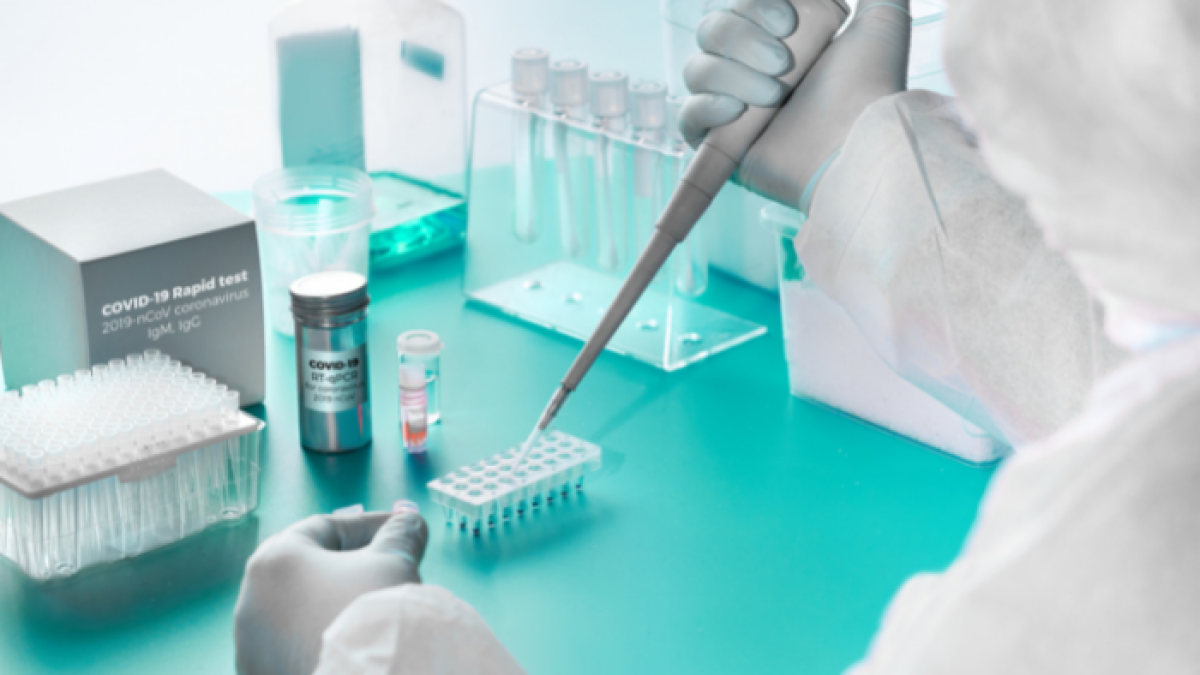 Los investigadores han comprobado que los anticuerpos continúan evolucionando durante un periodo de 6 a 12 meses.