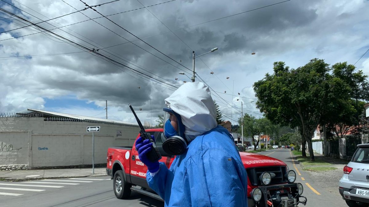 El problema se dio en la av. 27 de Febrero, sector Jardín Botánico.