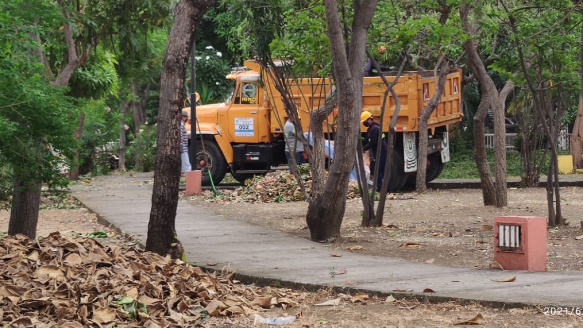 Trabajo. La atención se dio en los parques de las manzanas 101 y 105.
