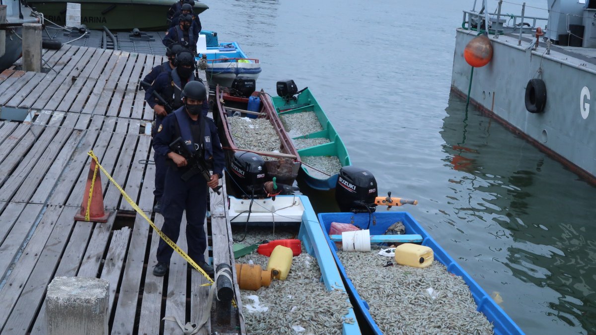 Resultados. La persona detenida y el crustáceo que fue recuperado fueron llevados al muelle de la Armada.