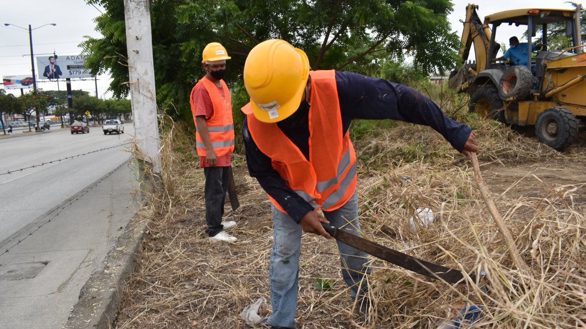 Trabajadores cortan la maleza antes de iniciar la construcción del cerramiento.