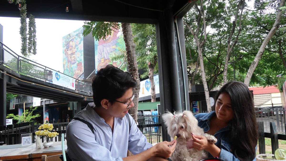 Guayarte. En esta plaza guayaquileña, hay locales que han acondicionado espacios internos y externos para  los animales de compañía.