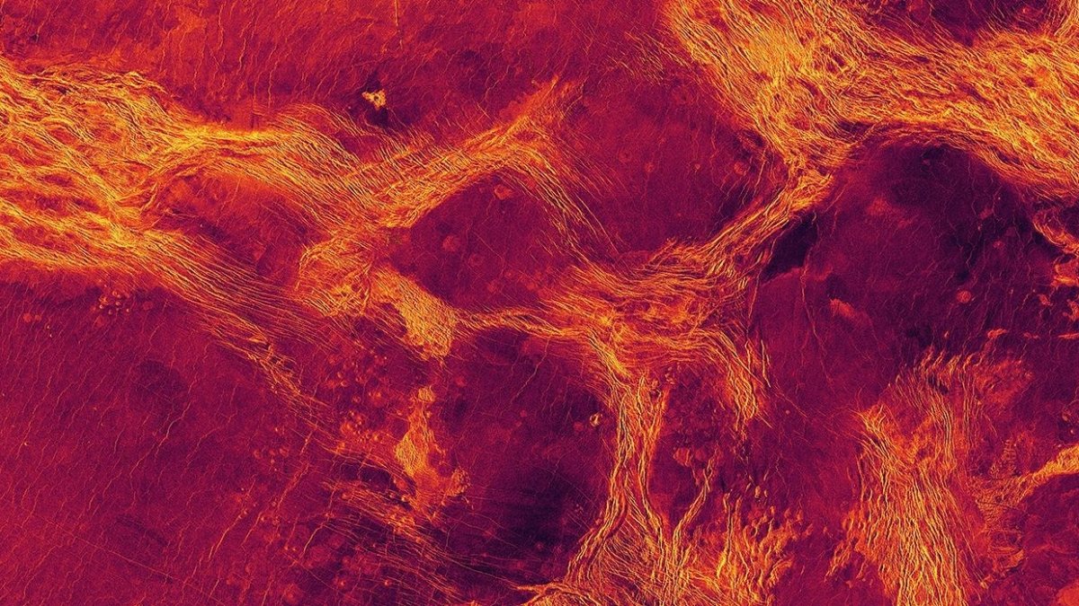 Vista de radar en falso color de 1.100 km de ancho de la Planicie de Lavinia, una de las regiones bajas de Venus donde la litosfera se ha fragmentado en bloques (púrpura) delineados por cinturones de estructuras tectónicas (amarillo).