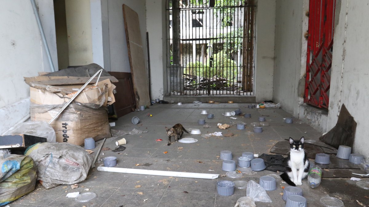 Alerta. Algunos edificios patrimoniales de la ciudad están en desuso.