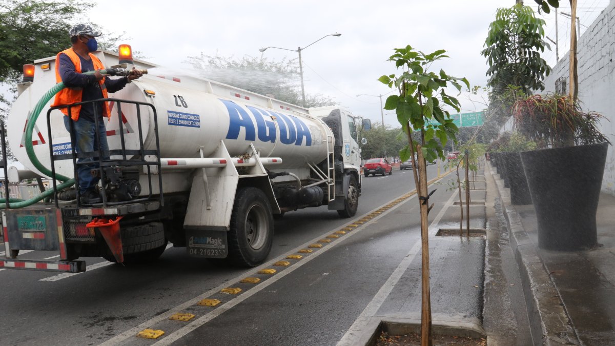 Escenario. A lo largo de la ciclovía en la avenida Barcelona, al sur, se observa que diversas especies fueron plantadas.