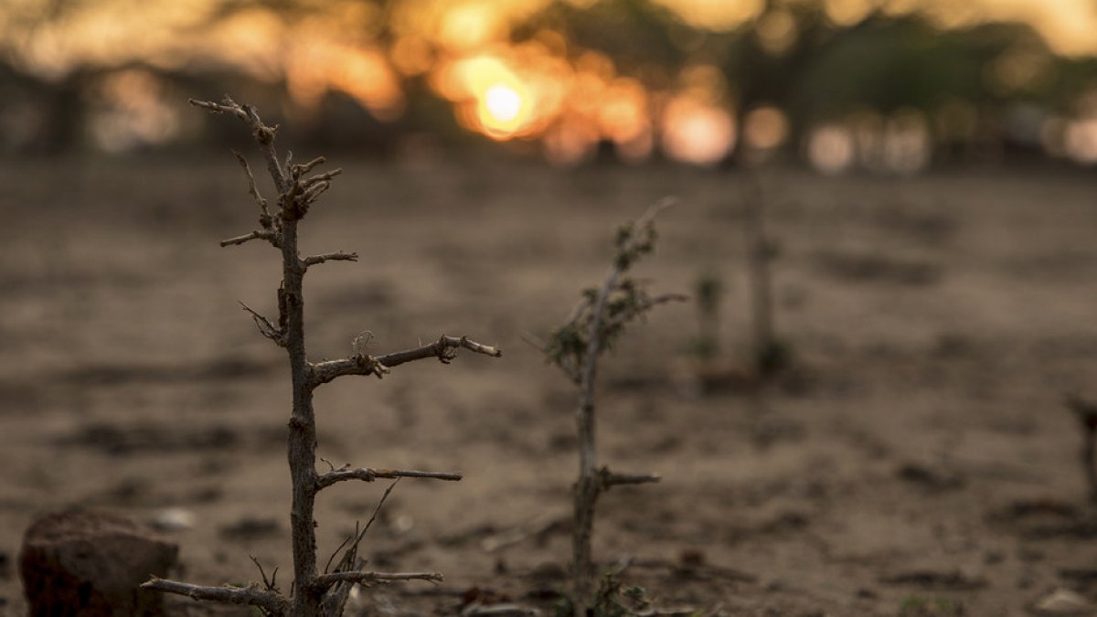 Los efectos del cambio climático ya son visible en muchs regiones del planeta.