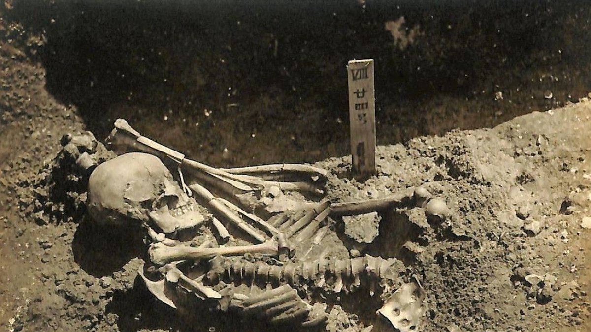 Fotografía original del individuo 24 encontrado en el yacimiento de Tsukumo. EFE/Laboratorio de Antropología Física de la Universidad de Kioto.